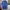 Japanese brand Casual Polo shirt Pria blue photo 1