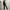 Adidas Sportswear Sweatpants & Joggers Pria black photo 2