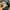 Uniqlo Streetwear Casual Bomber jacket Pria green photo 5