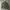 Uniqlo Streetwear Casual Bomber jacket Pria green photo 5