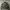 Uniqlo Streetwear Casual Bomber jacket Pria green photo 1