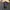 Uniqlo Streetwear Casual Bomber jacket Pria green photo 3