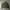 Uniqlo Streetwear Casual Bomber jacket Pria green photo 5