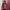 Gorpcore Sportswear Windbreaker Pria Pink Black