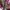 Gorpcore Sportswear Windbreaker Pria pink black photo 6