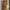 ZARA Vintage Coquette Pencil skirt Wanita tan brown photo 1