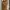 ZARA Vintage Coquette Pencil Skirt Wanita Tan Brown