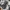 Columbia Gorpcore Sportswear Windbreaker Pria cream gray photo 7