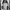 Columbia Gorpcore Sportswear Windbreaker Pria cream gray photo 1