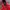 Streetwear Gorpcore Puffer jacket Pria red photo 3