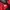 Streetwear Gorpcore Puffer jacket Pria red photo 4