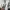 Arc'teryx Sportswear Casual Windbreaker Pria white photo 6