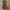 Japanese brand Vintage Y2K Skirt Wanita green tan photo 6