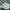 New Balance Avant Garde Sneakers Pria white photo 2