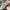 Burberry Streetwear Luxury Sneakers Pria white cream photo 6