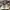 Burberry Streetwear Luxury Sneakers Pria white cream photo 4