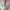 ADA Fashion Futurist Casual dress Wanita white pink photo 3