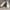 VANS Casual Casual shoe Pria white photo 1