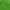 Merrell Windbreaker Wanita green photo 5