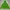 Merrell Windbreaker Wanita green photo 2