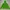 Merrell Windbreaker Wanita Green