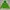 Merrell Windbreaker Wanita green photo 1
