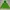 Merrell Windbreaker Wanita Green