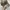 Realtree Streetwear Y2K Hat Pria multicolor photo 2