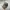 Realtree Streetwear Y2K Hat Pria multicolor photo 1