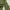 ZARA Outerwear Kids green photo 6