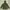 ZARA Outerwear Kids green photo 2