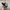 Streetwear Y2K Hat Pria black gray photo 1