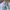 Polo Ralph Lauren Y2K Sportswear Hat Pria white navy photo 6