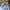 Polo Ralph Lauren Y2K Sportswear Hat Pria white navy photo 7