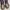 Dr. Martens Biker Boots Wanita purple photo 5