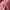 Lolita Casual Kids white red photo 2