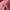 Lolita Casual Kids White Red