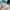 Yeezy Sportswear Casual Sneakers Pria multicolor cream photo 5