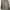 Casual Trench coat Pria gray photo 1