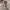 Golden Goose Luxury Casual Sneakers Wanita white photo 2