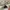 Golden Goose Luxury Casual Sneakers Wanita white photo 4