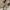 Golden Goose Luxury Casual Sneakers Wanita white photo 5