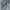 Streetwear Sportswear Casual shirt Pria gray photo 6