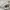 Burberry Luxury Minimalist Bomber jacket Wanita white photo 6