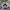 Adidas Streetwear Hoody Pria White Black