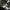 Arc'teryx Sportswear Casual Hat Pria black photo 4