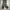 Made in USA Y2K Jeans Pria tan brown photo 2