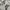 Nike Vintage Hoody Pria gray photo 1