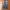 True Religion Vintage Jeans Pria blue photo 1