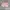 Casual Short Wanita pink photo 2